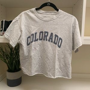 brandy melville colorado crop top!
